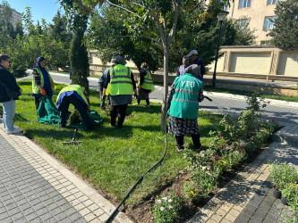 RİH başçısı  Nəsimi rayonunda yerləşən Zəfər bağına baxış keçirib.