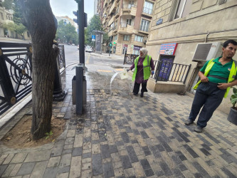 Nəsimi rayonunda növbəti iməcilik keçirilib
