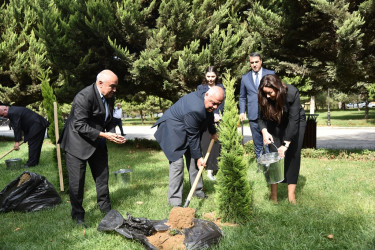 Nəsimi rayonunda 27 sentyabr - Anım günü münasibətilə ağacəkmə aksiyası keçirilib