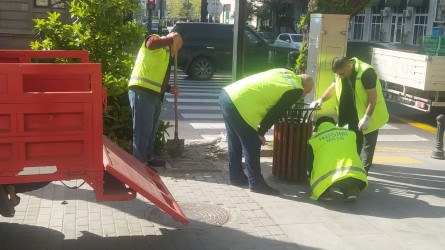 Mərkəzi küçə və prospektlərdə yeni kiçik tullantılar üçün qablar quraşdırılıb, cari təmir işləri aparılıb.