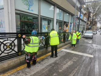 Nəsimi rayonunda genişmiqyaslı iməcilik keçirilib