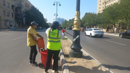 Nəsimi rayonunda növbəti iməcilik keçirilib