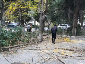 Nəsimi rayonu Bakıxanov küçəsi 42 saylı binada abadlıq işlərinə başlanılıb.