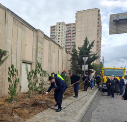 Nəsimi rayonunda “Yaşıl dünya naminə həmrəylik ili” çərçivəsində növbəti ağacəkmə aksiyası keçirilmişdir.