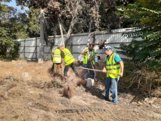 Rayonda tikinti aparılan binaların hasara alınmış ərazilərində  sanitar təmizlik işləri aparılıb.