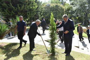 Nəsimi rayonunda 27 sentyabr - Anım Günü münasibətilə ağacəkmə aksiyası keçirilib.