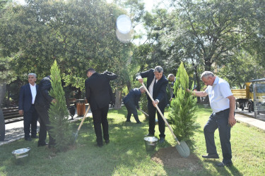 Nəsimi rayonunda 27 sentyabr - Anım Günü münasibətilə ağacəkmə aksiyası keçirilib.