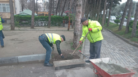 Nəsimi rayonunda genişmiqyaslı iməcilik keçirilib