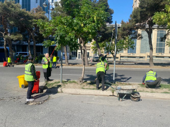 Nəsimi rayonunda növbəti iməcilik keçirildi.