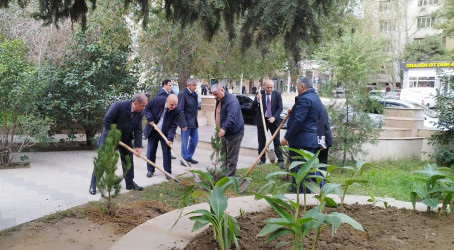 Nəsimi rayonunda “Yaşıl dünya naminə həmrəylik ili” çərçivəsində növbəti tədbir keçirilib.