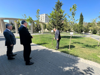 Vətən müharibəsi şəhidlərinin xatirəsinə yaradılmış Zəfər bağına baxış keçirildi.