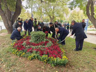 Nəsimi rayonunda   “Yaşıl dünya naminə həmrəylik ili” çərçivəsində növbəti ağacəkmə aksiyası  keçirilib