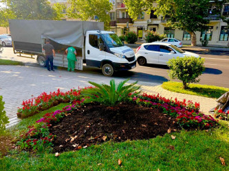 Nəsimi rayonunda növbəti ümumrayon iməciliyi keçirilib.