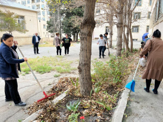 Nəsimi rayonunda idarə, müəssisə və təşkilatların iştirakı ilə iməcilik keçirilib