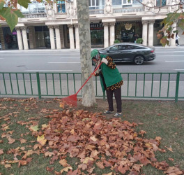 Nəsimi rayonunda növbəti iməcilik keçirilib