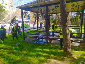 Nəsimi rayonunda növbəti ümumrayon iməciliyi keçirilib.