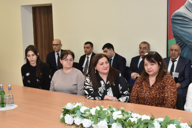 Nəsimi rayon İcra Hakimiyyətinin başçısı səyyar qəbul keçirib